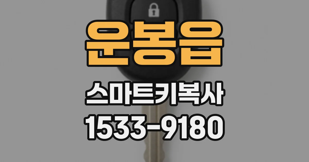 운봉읍 스마트키복사