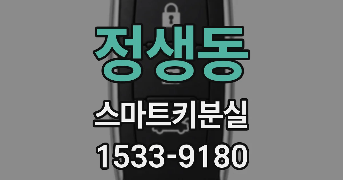 정생동 스마트키분실