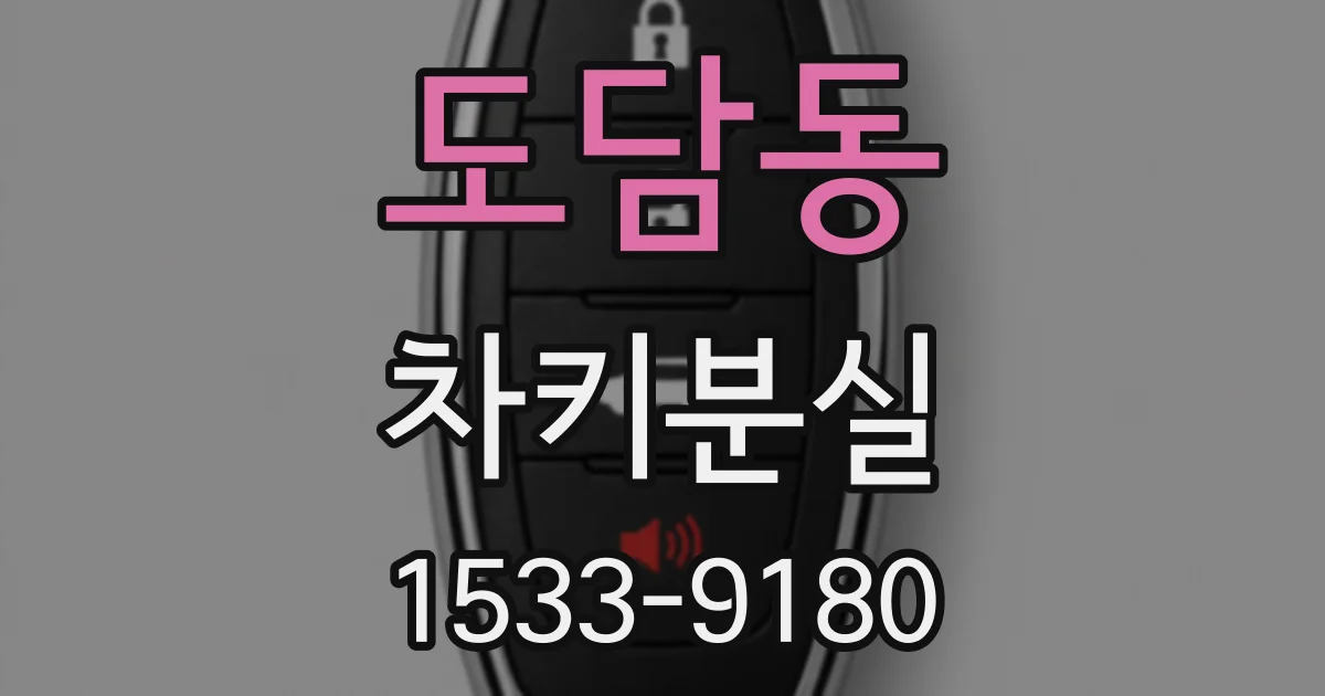 도담동 차키분실