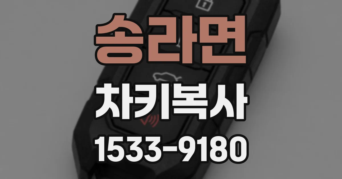 송라면 차키복사