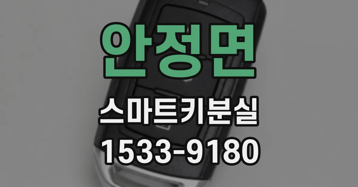 안정면 스마트키분실