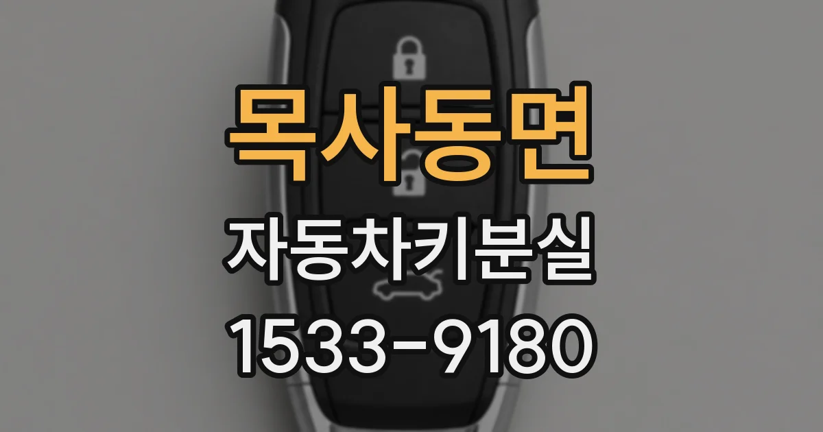 목사동면 자동차키분실