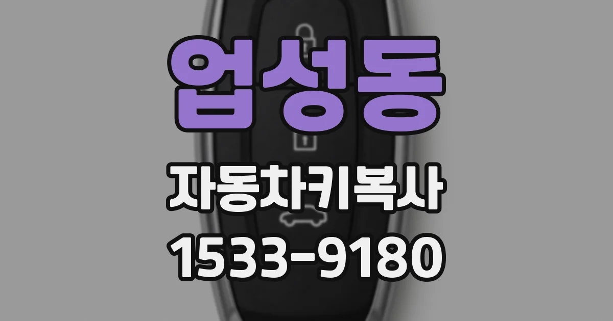 업성동 자동차키복사