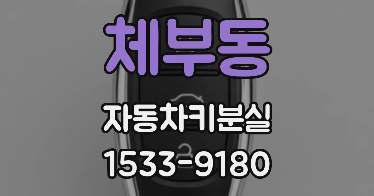 체부동 자동차키분실