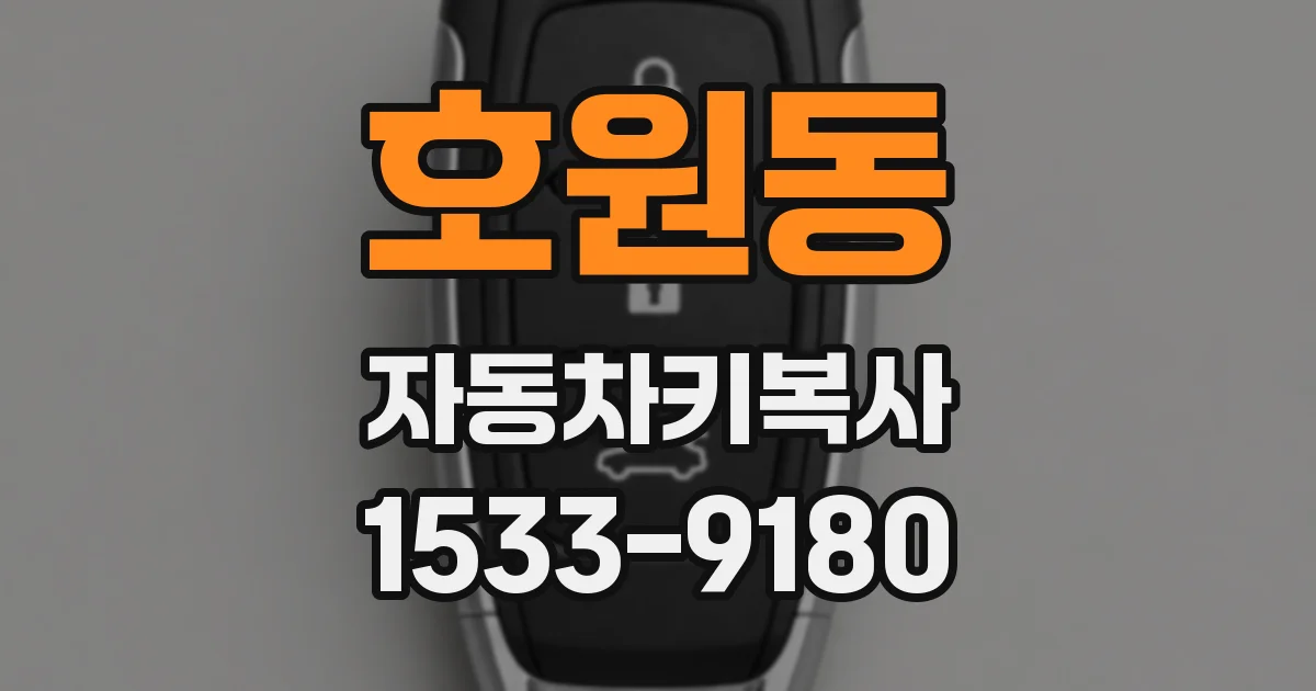 호원동 자동차키복사