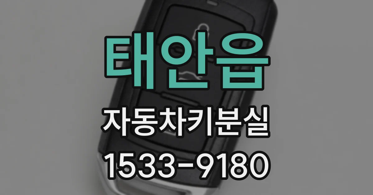 태안읍 자동차키분실