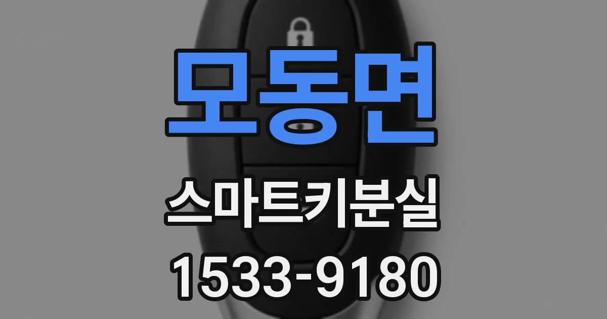 모동면 스마트키분실