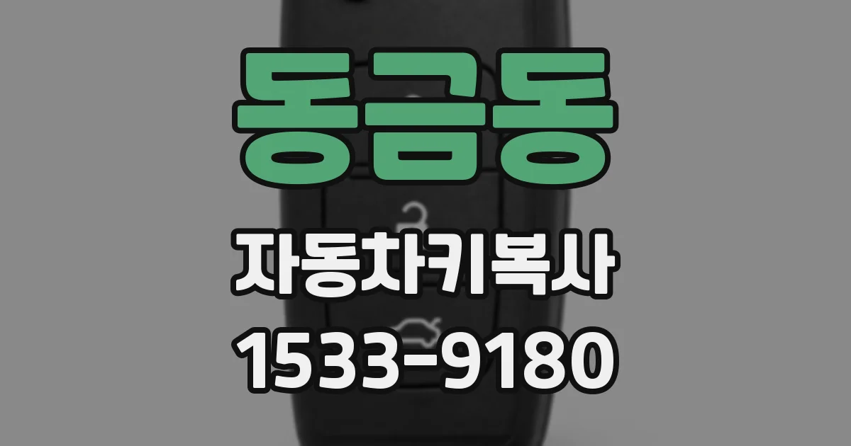 동금동 자동차키복사