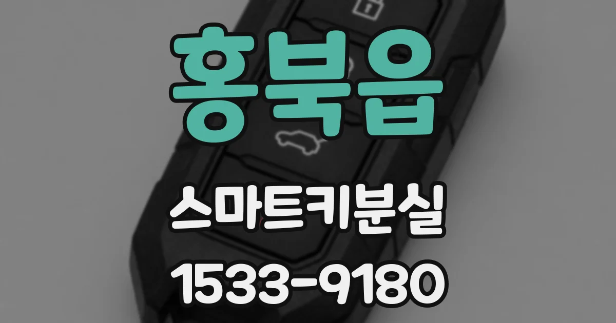 홍북읍 스마트키분실
