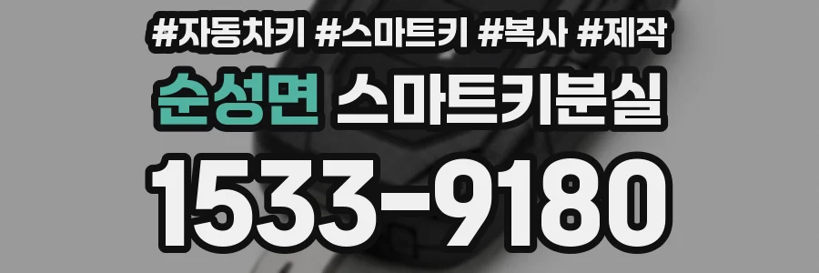 순성면 스마트키분실
