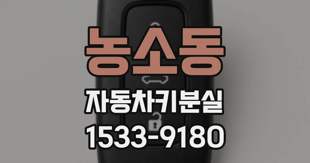 농소동 자동차키분실
