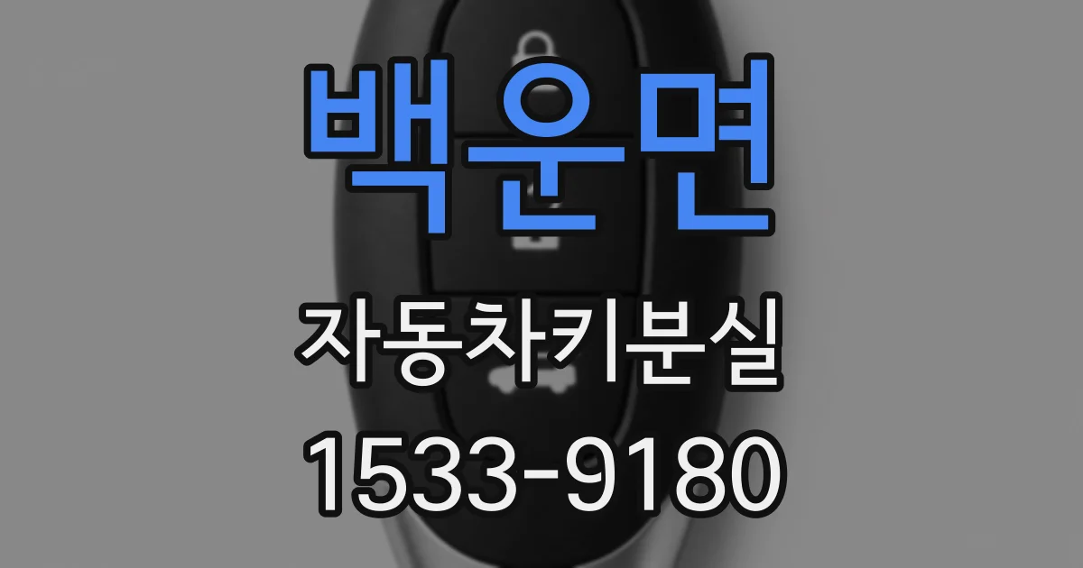 백운면 자동차키분실