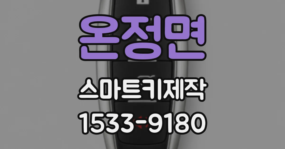 온정면 스마트키제작