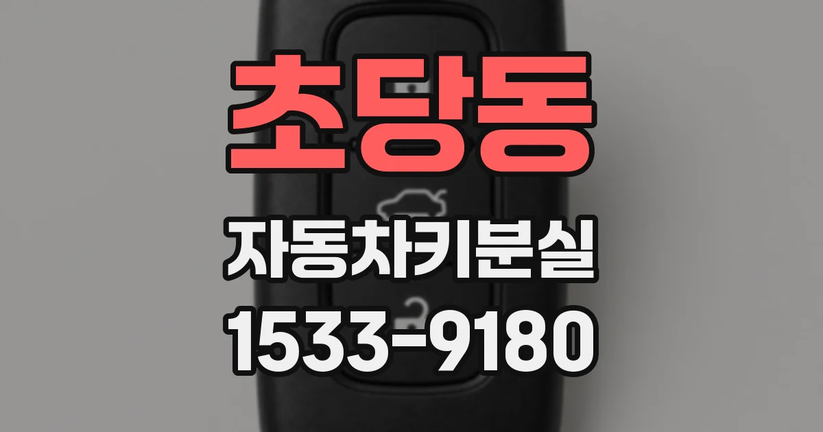 초당동 자동차키분실
