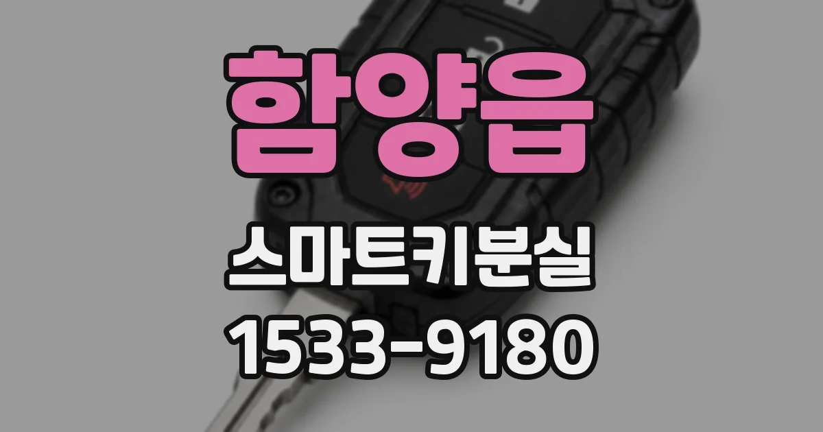 함양읍 스마트키분실