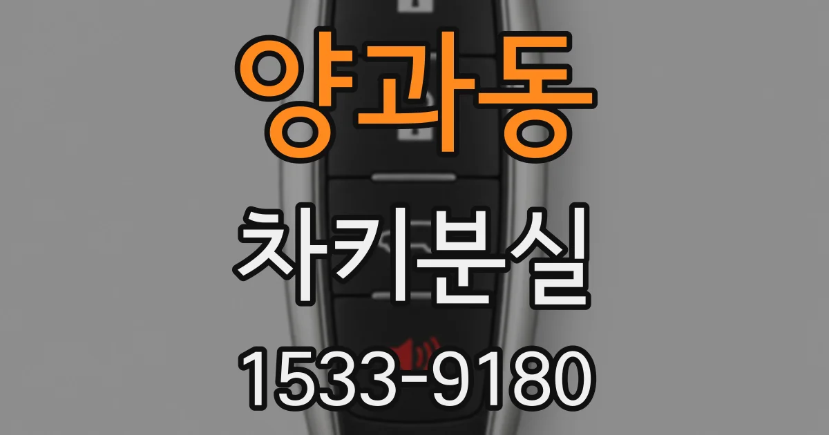 양과동 차키분실