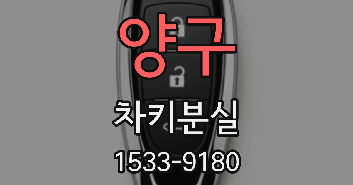 양구 차키분실
