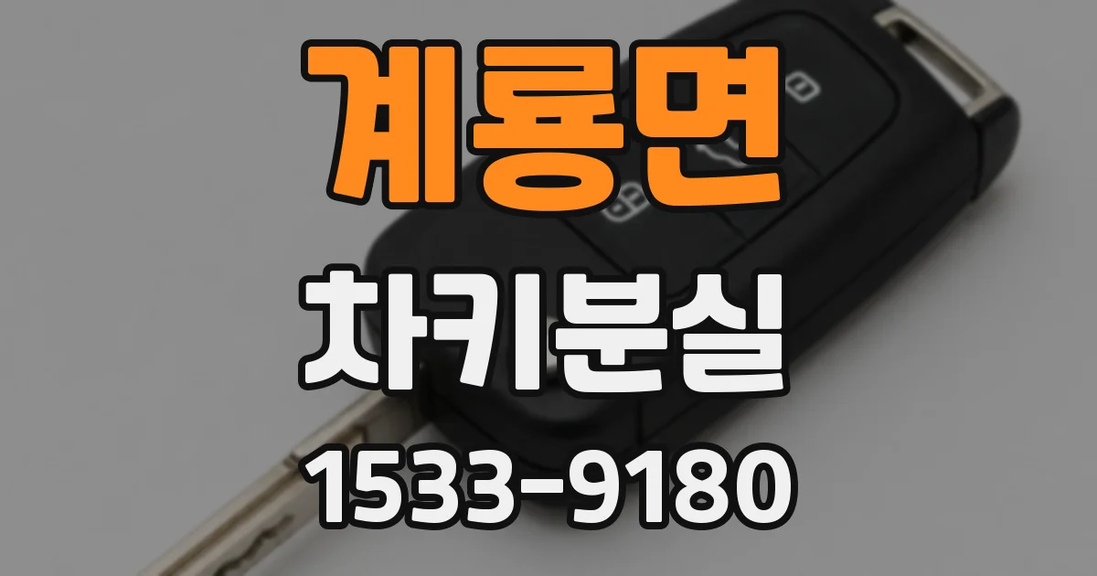 계룡면 차키분실