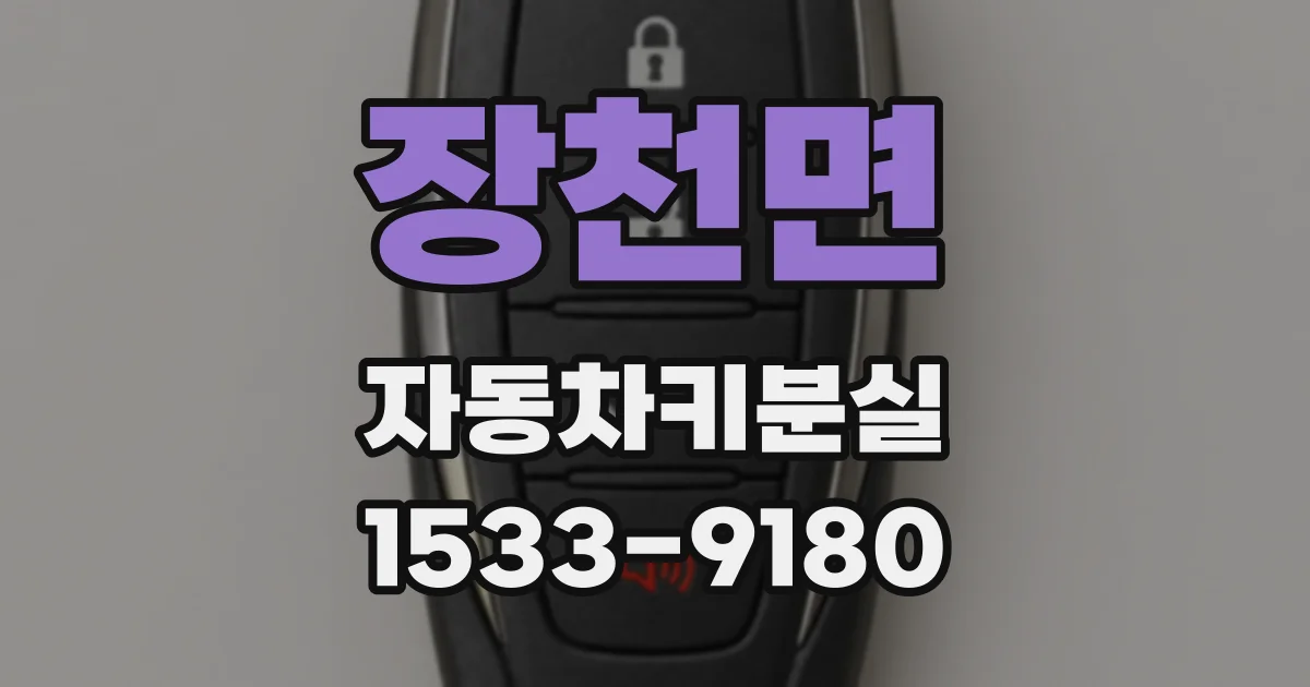 장천면 자동차키분실