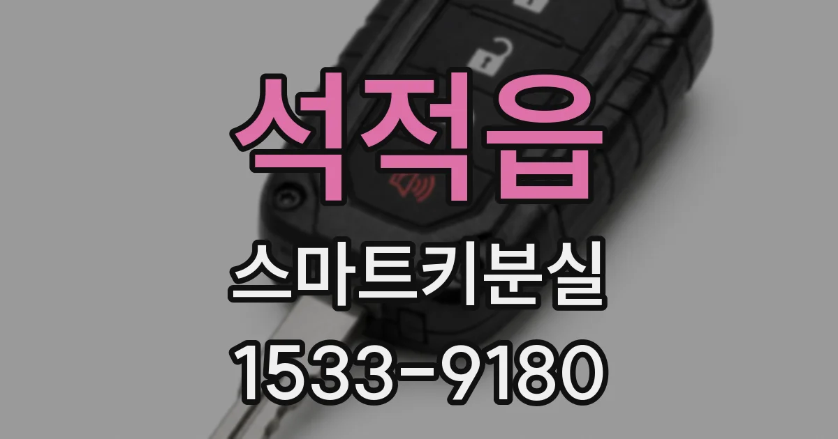 석적읍 스마트키분실