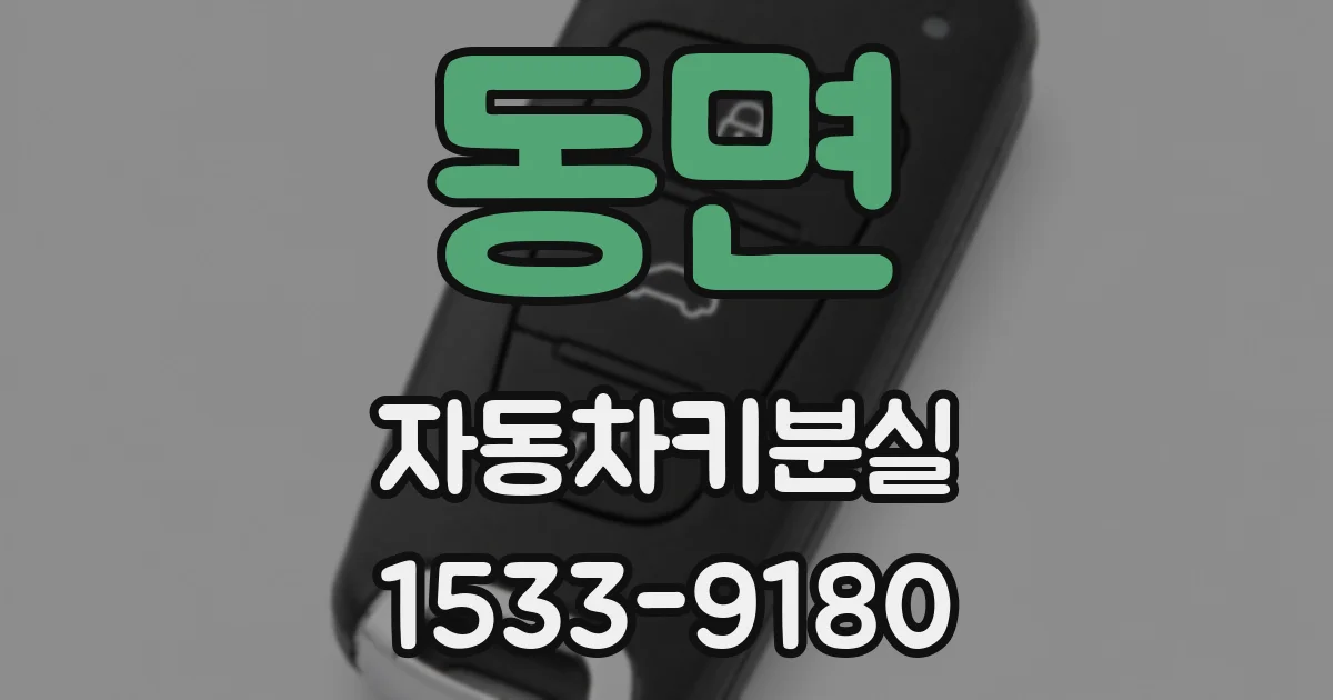 동면 자동차키분실