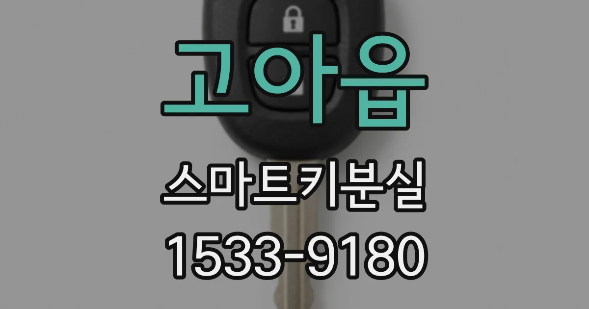 고아읍 스마트키분실