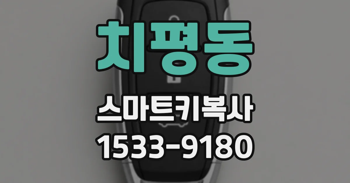 치평동 스마트키복사