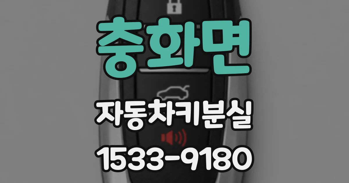 충화면 자동차키분실