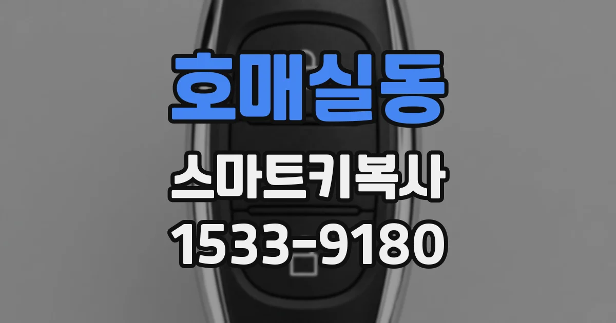 호매실동 스마트키복사