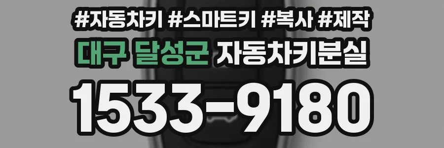 대구 달성군 자동차키분실