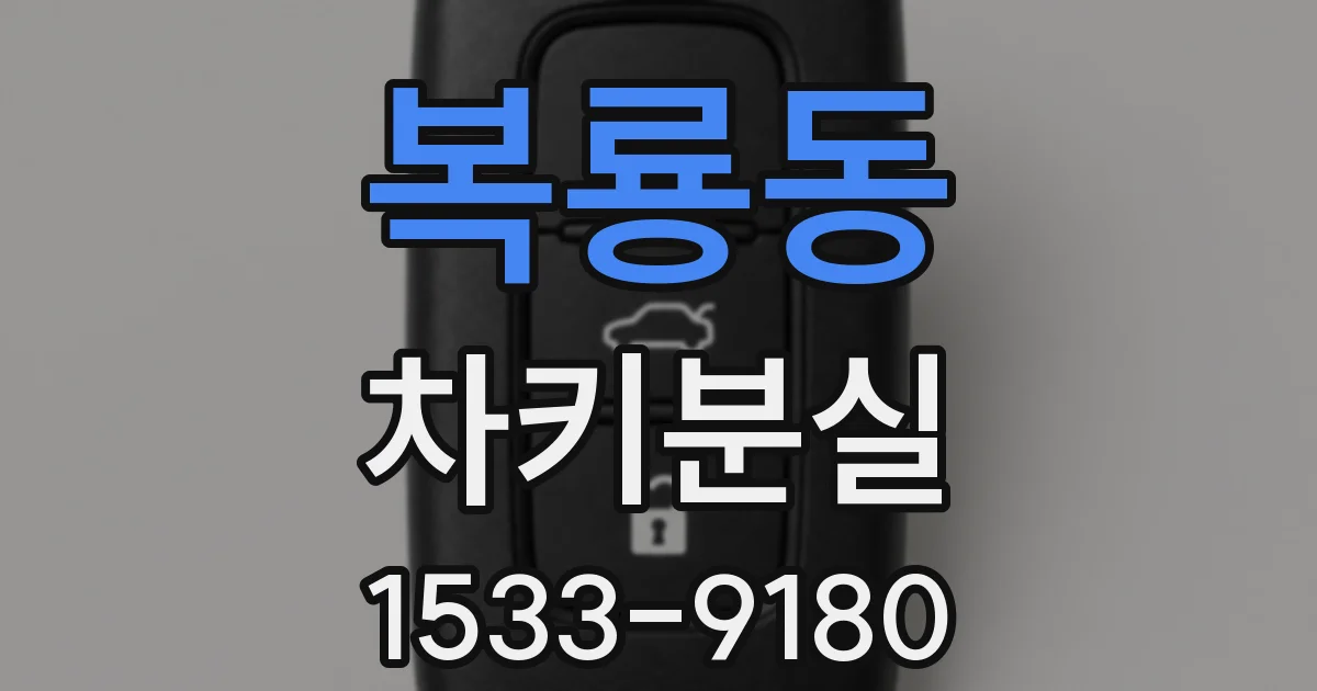 복룡동 차키분실