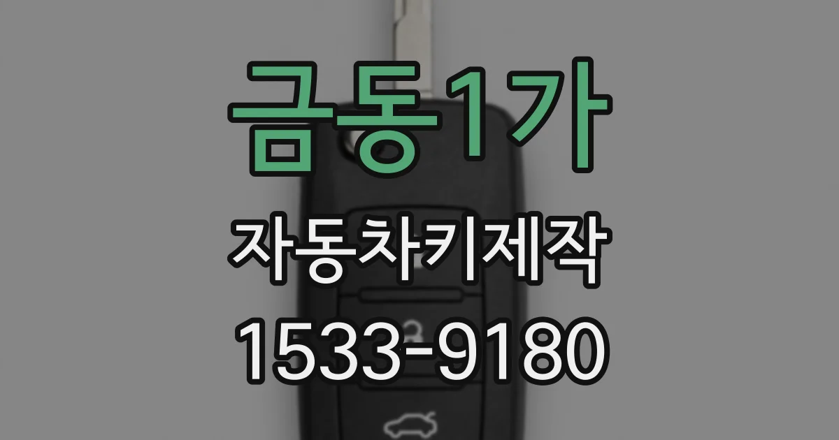 금동1가 자동차키제작