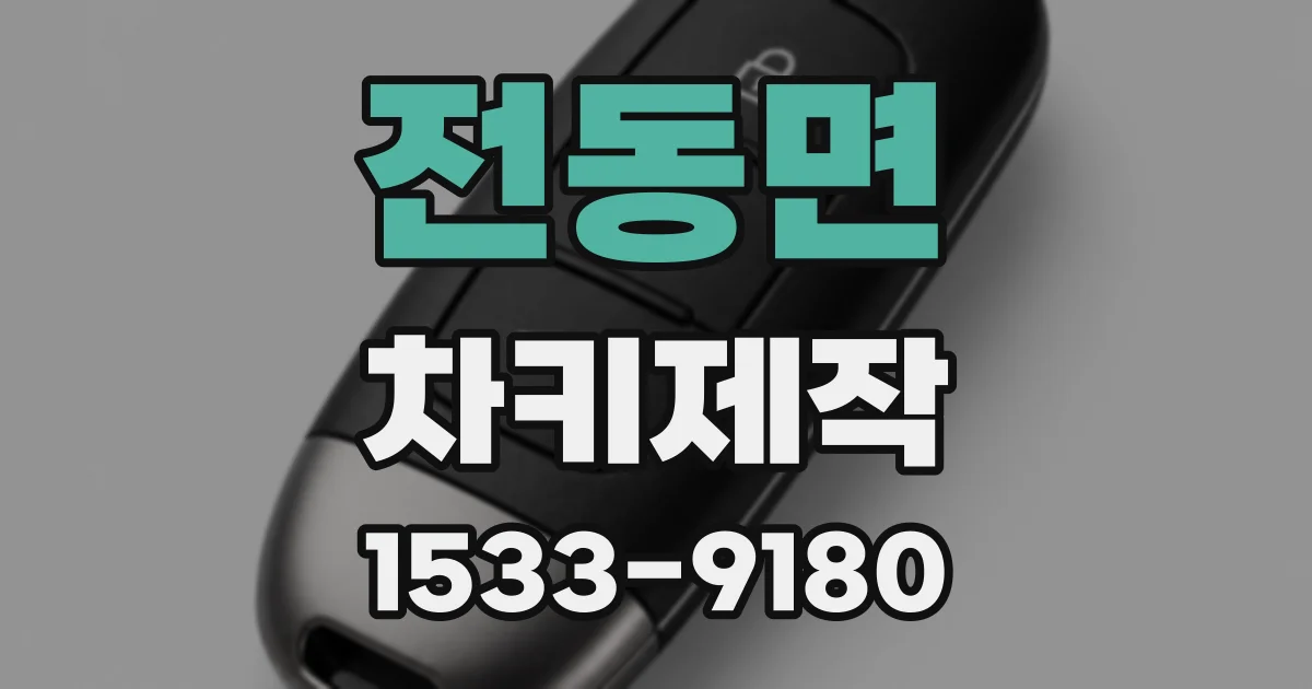 전동면 차키제작