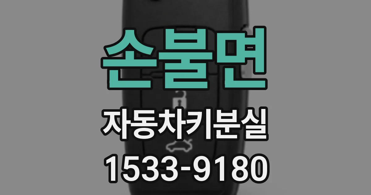 손불면 자동차키분실