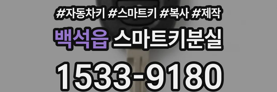 백석읍 스마트키분실