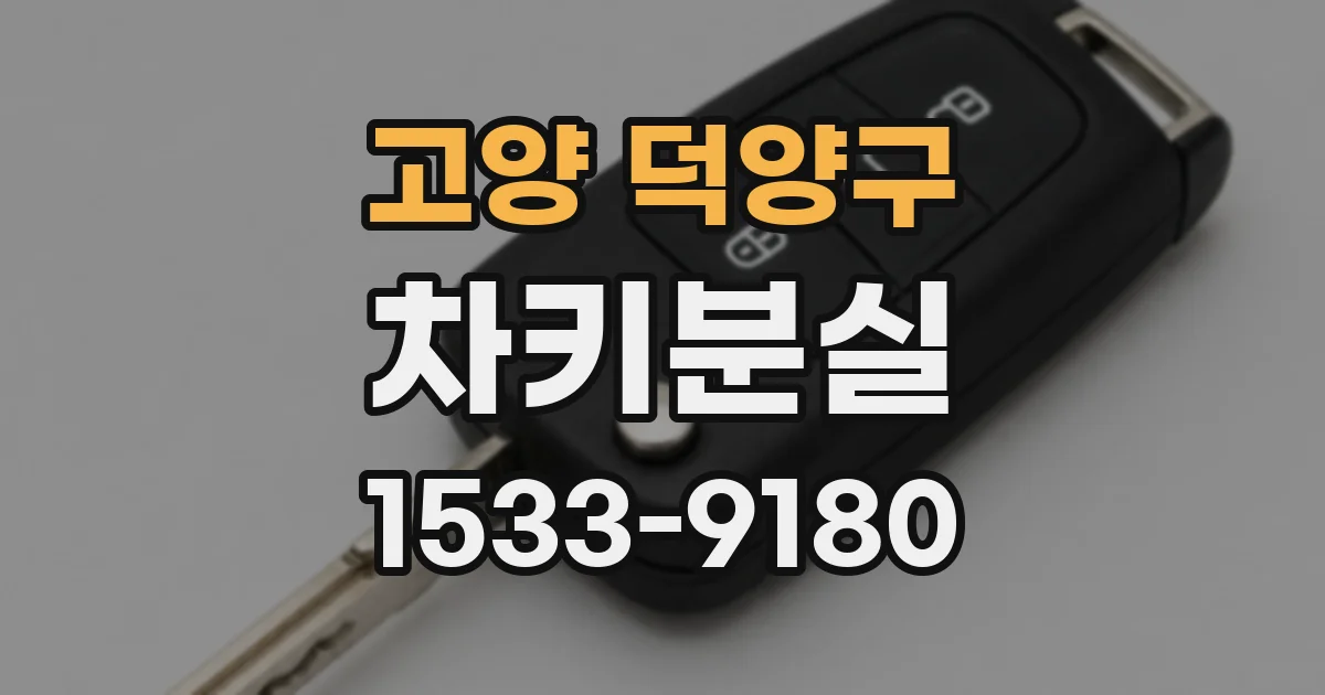 고양 덕양구 차키분실