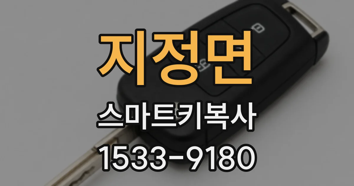 지정면 스마트키복사