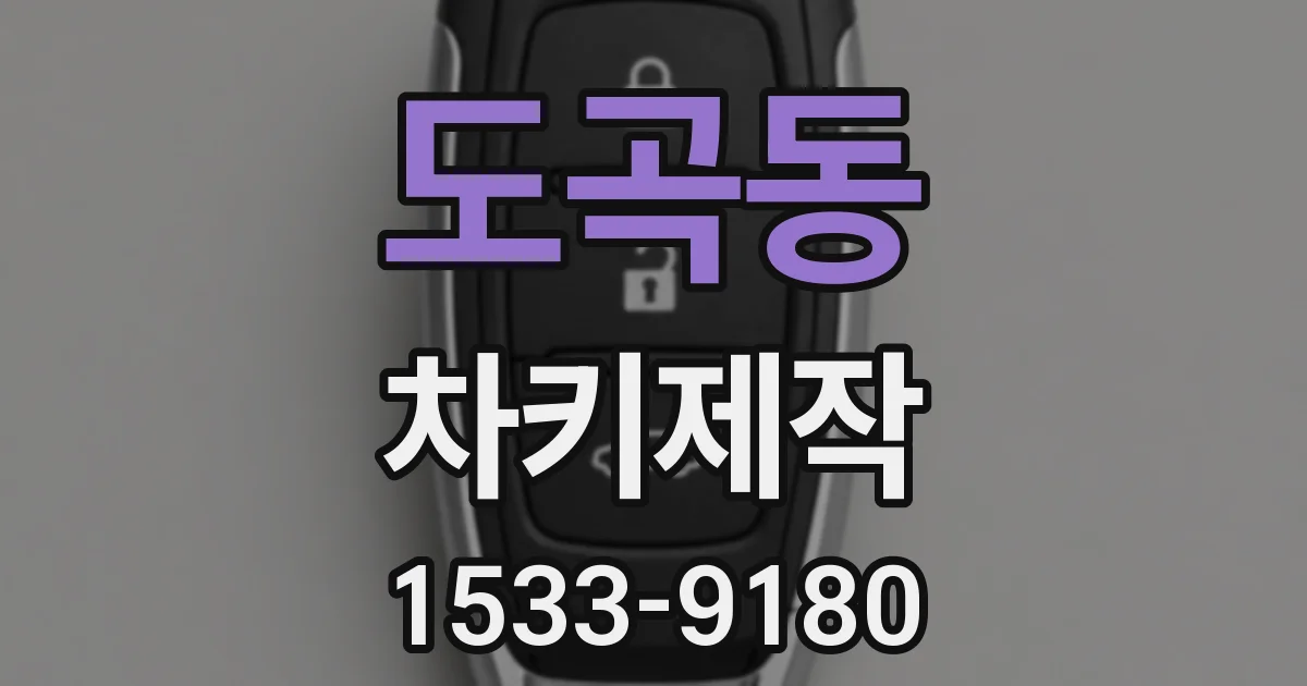 도곡동 차키제작
