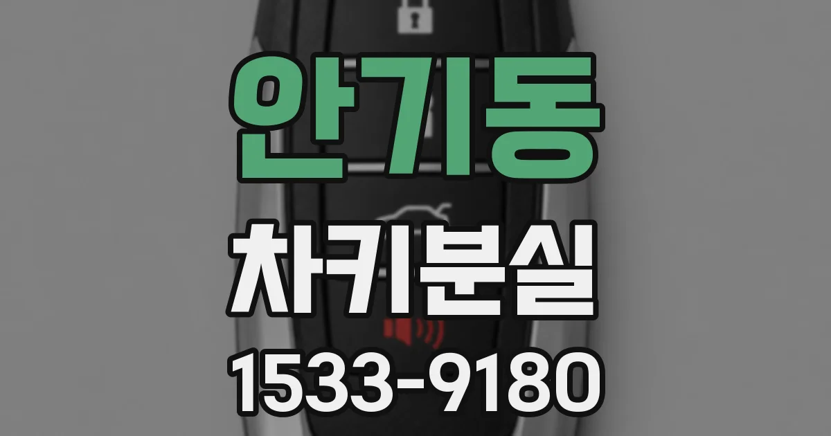 안기동 차키분실