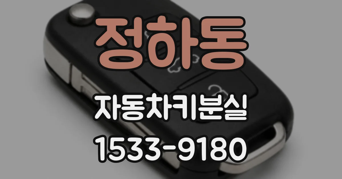 정하동 자동차키분실