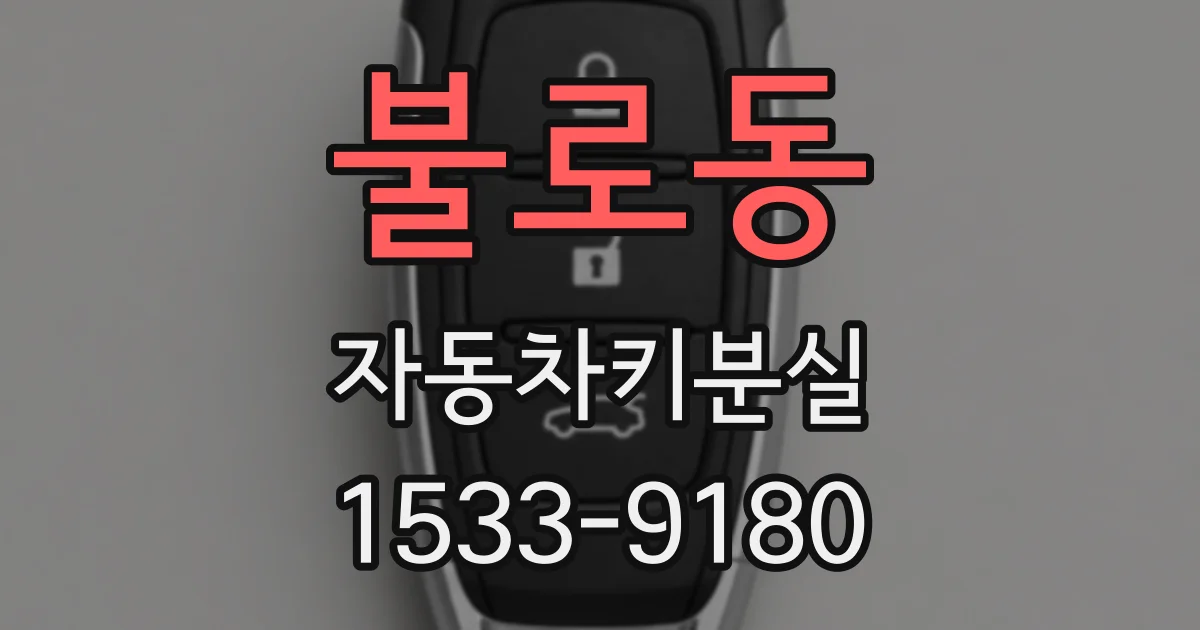 불로동 자동차키분실
