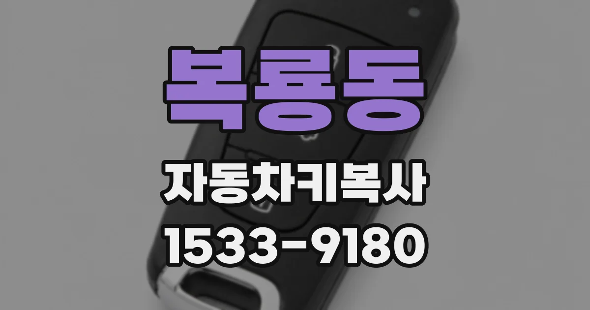 복룡동 자동차키복사