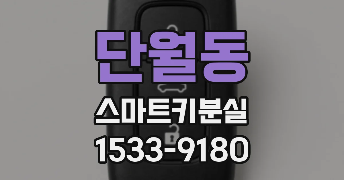 단월동 스마트키분실