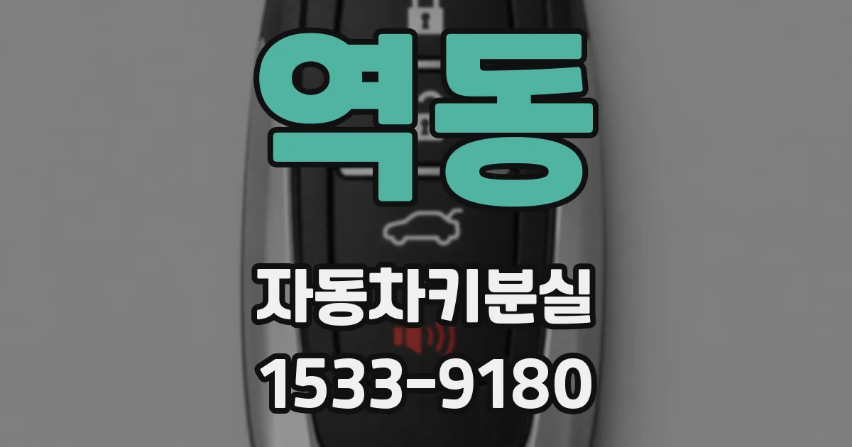 역동 자동차키분실