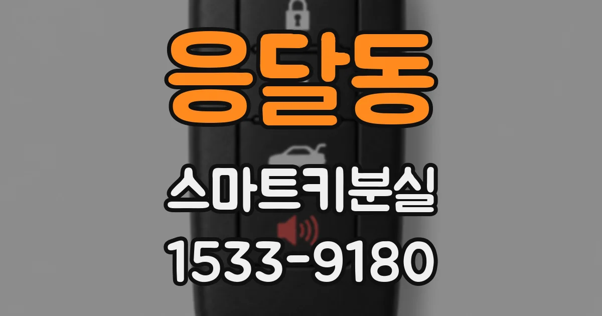 응달동 스마트키분실