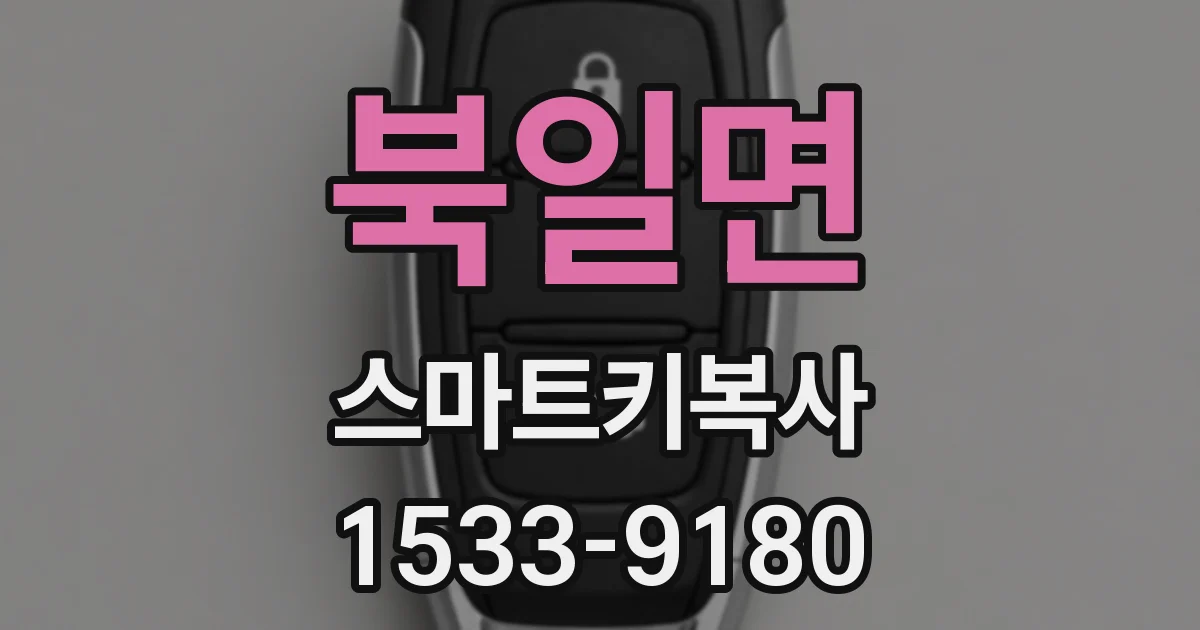 북일면 스마트키복사