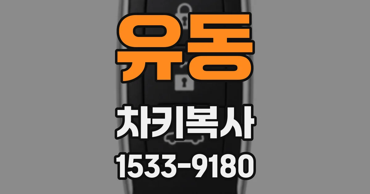 유동 차키복사