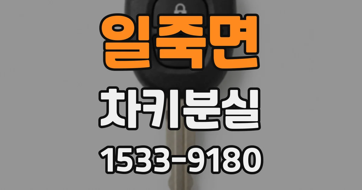 일죽면 차키분실