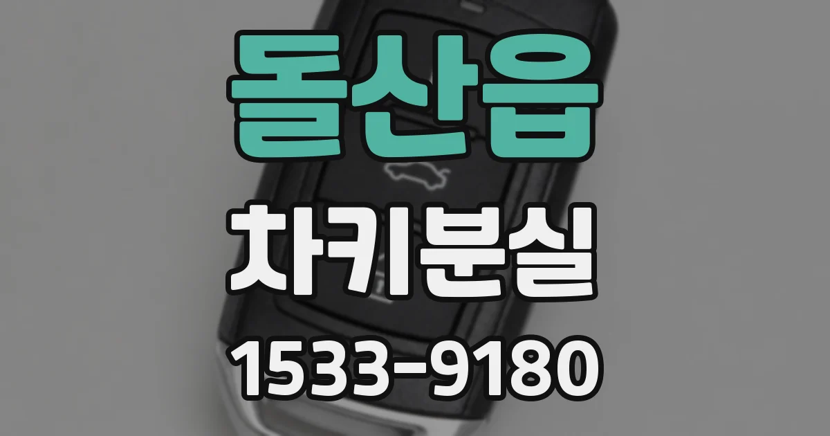 돌산읍 차키분실