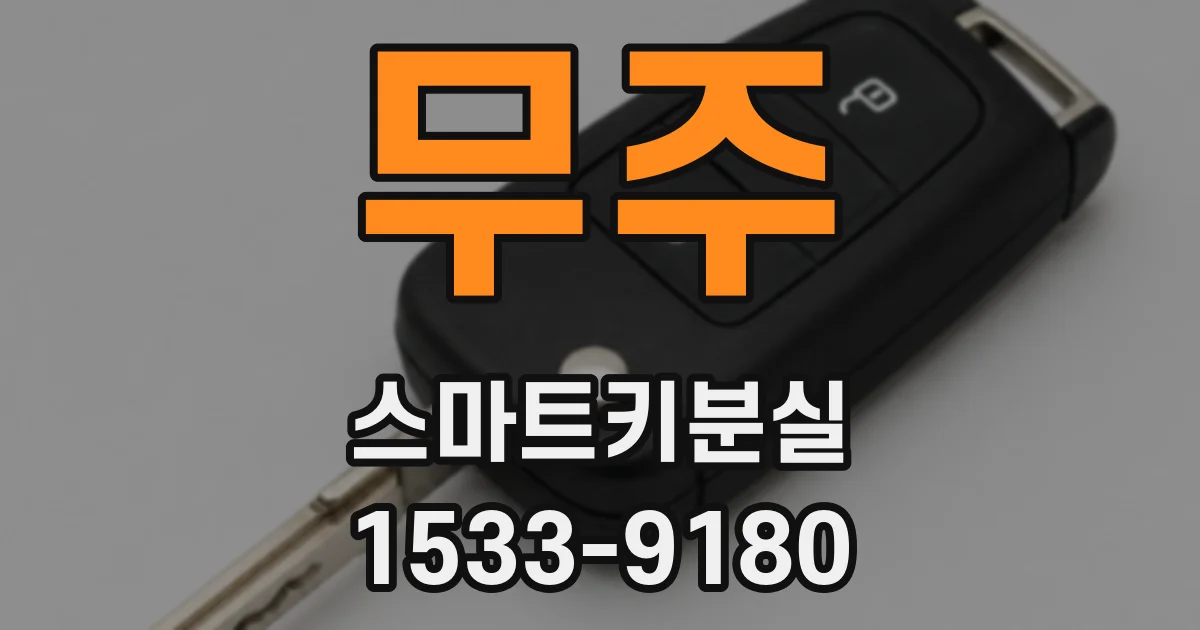 무주 스마트키분실
